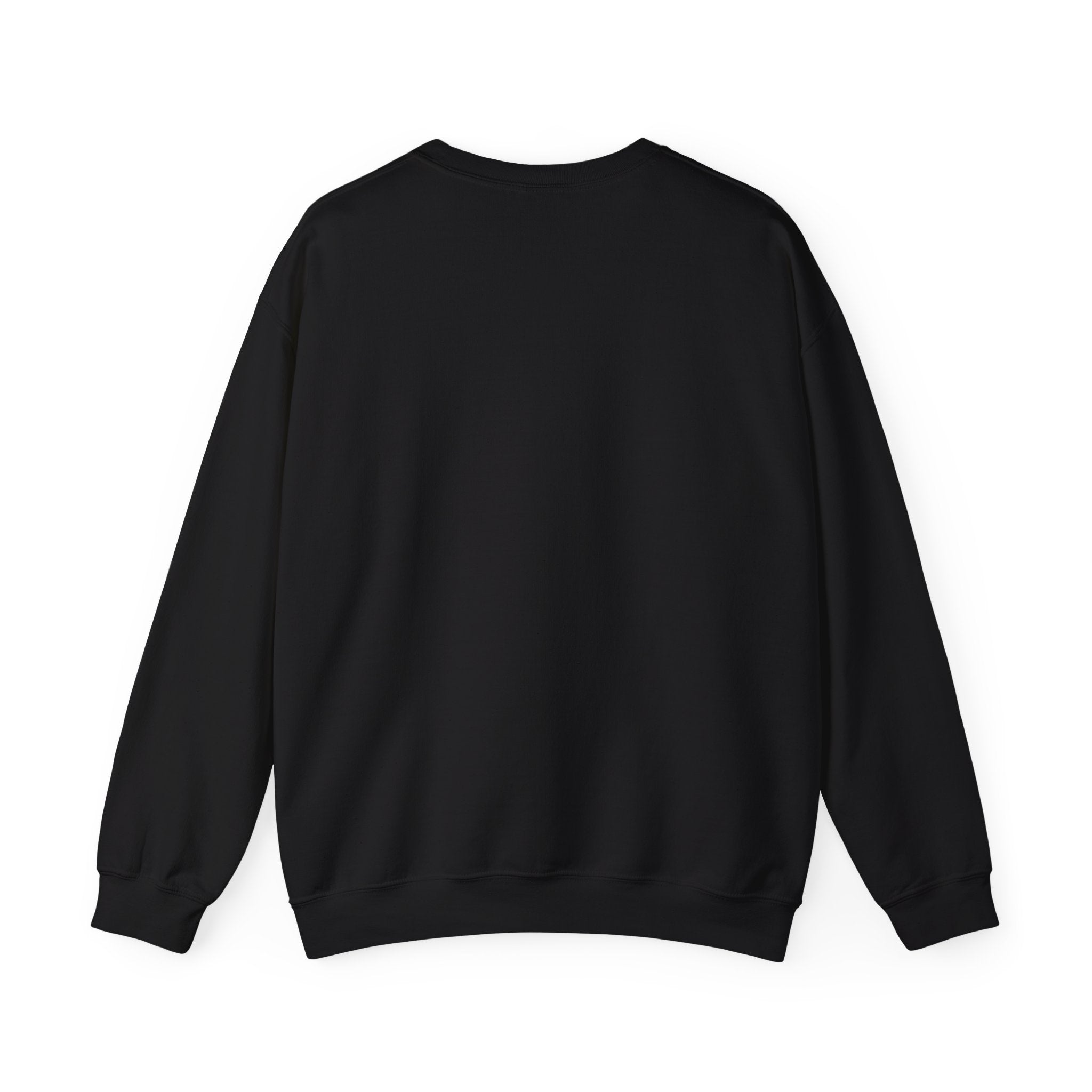Cabo San Lucas Arch Crewneck Sweatshirt — Mexican Beach Photo Pullover