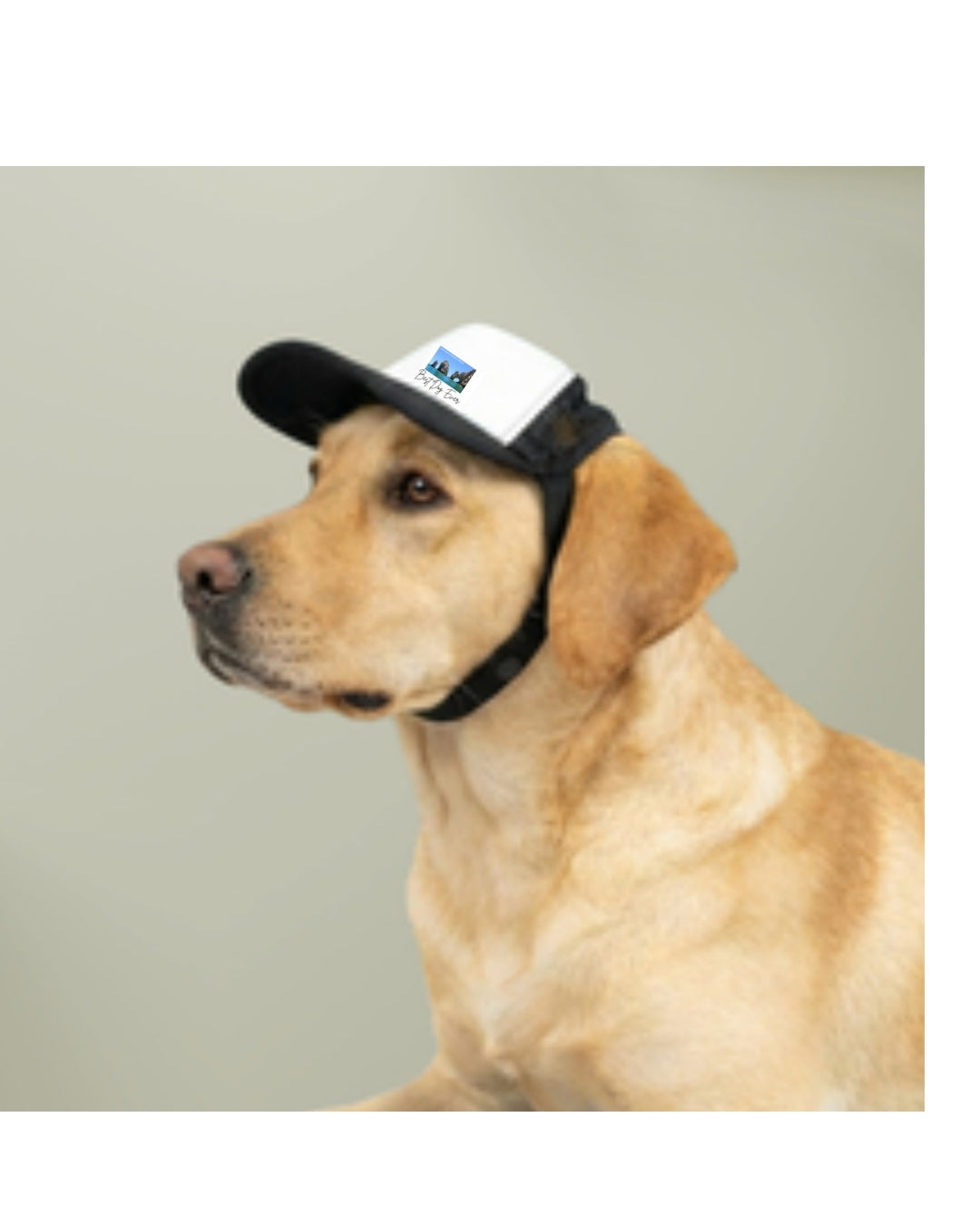 Cabo San Lucas Arch Dog Foam Trucker Hat