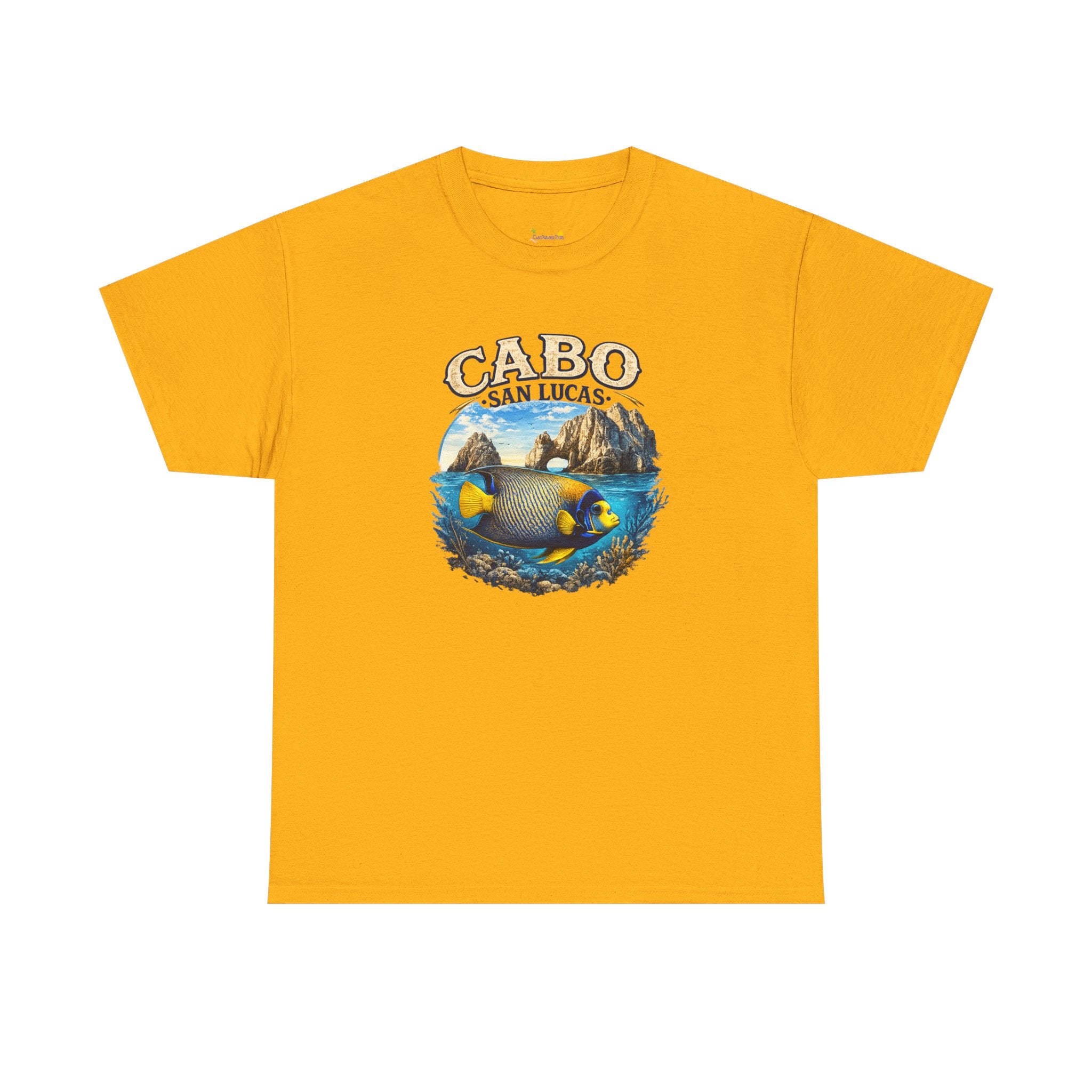 Cabo San Lucas King Angel Fish Adult T-Shirt